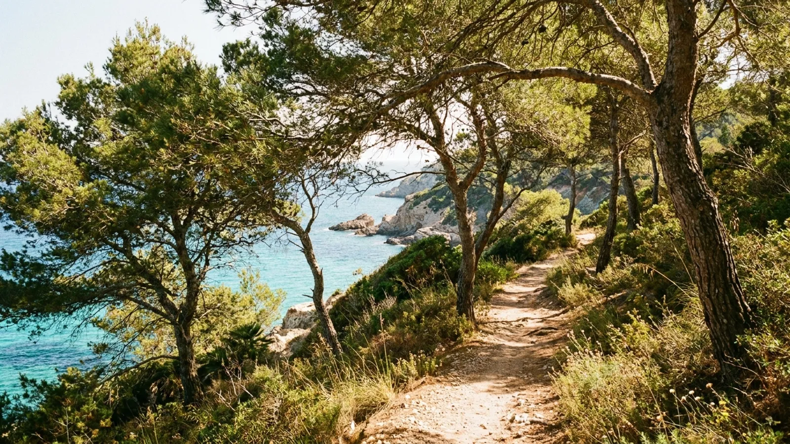 Coastal path winding through fragrant pine trees with the Mediterranean Sea in the background